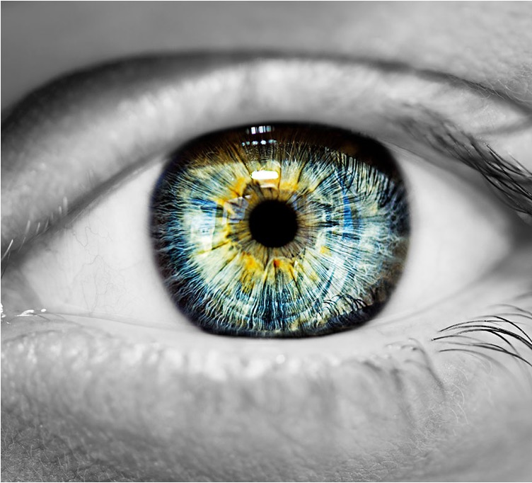 Zoom premier plan œil effet noir et blanc avec iris en couleur